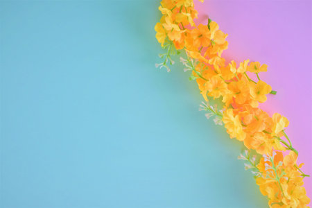 background with flowers
