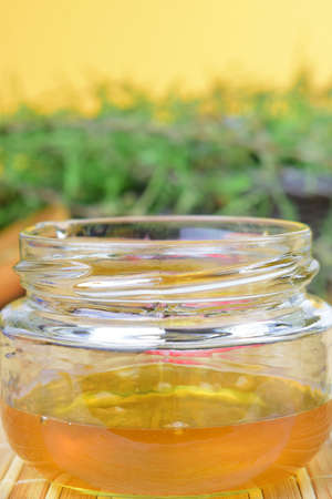 Honey jar with hints of rosemary flavor.の写真素材
