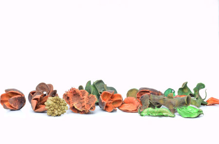 Decorative dry leaves, assorted colors, on white background and copy space.