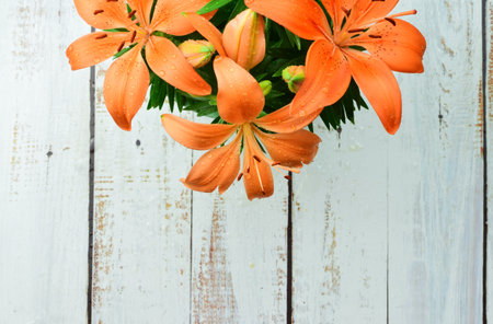 Natural lilies, orange flower with water drops in overhead view, white rustic wooden planks base. Copy space.の写真素材