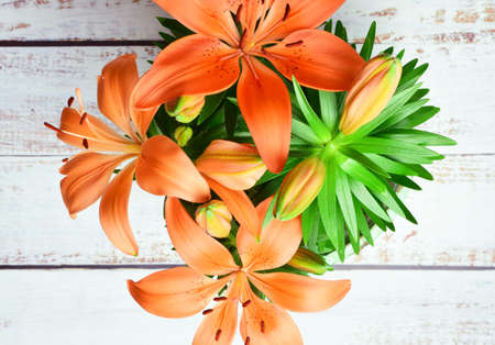 Orange lilies in overhead view, white rustic wooden planks baseの写真素材