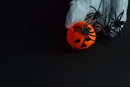 Spiders, decoration, halloween holiday, on black background.の写真素材