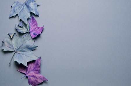 Dried leaves, retro concept, fine shades with large background space, copy space.
