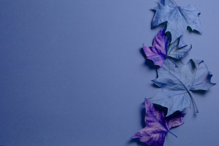 Dried leaves, retro concept, with large background space.