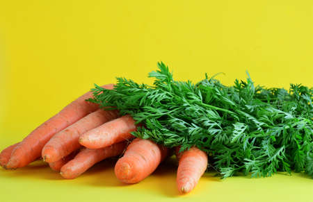 Bunch of carrots on yellow background with copy space.の写真素材