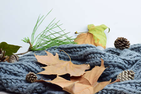 Autumn concept, dry leaves and pine cones on a natural wool blanket.の写真素材