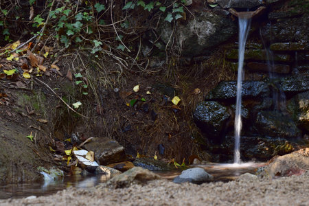 Fountain, natural water outlet in the forest, among trees, leaves and vegetation.