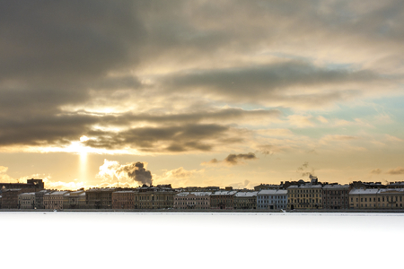 sunflowの写真素材