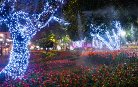 The night in Flora gardenの写真素材
