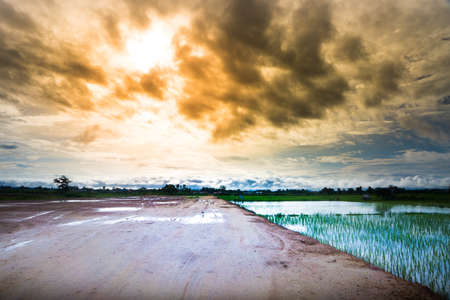 Bad  weather to Before rainstromの写真素材