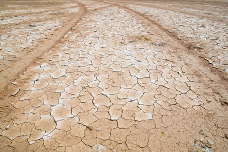 Cracked dry land without water and Detail of tyre tracksの写真素材