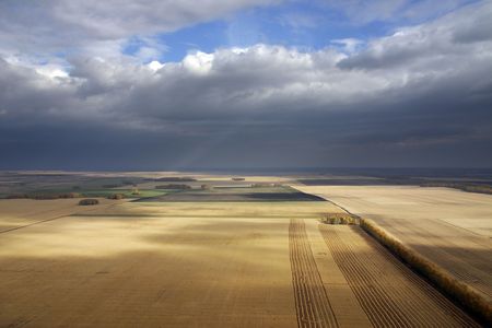 The Autumn field before cleaning the harvest. View with height of the flight of the bird.の写真素材