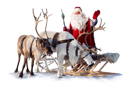 Santa Claus are near his reindeers in harness on the white background Santa Claus are near his reindeers in harness on the white background