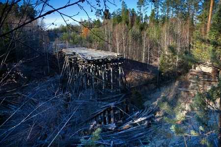 Destroyed bridge in the forestの写真素材