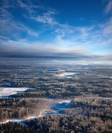 Aerial view of forest of plain during a winter day.の写真素材