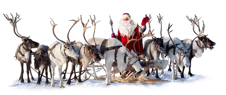 Santa Claus are near his deer in harness on the white background. He welcomes you and is waving his hand.の写真素材