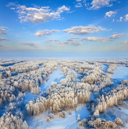 Aerial view of forest during cold winter dayの写真素材