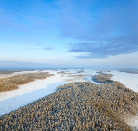 Aerial view of forest plain during a winter day.の写真素材