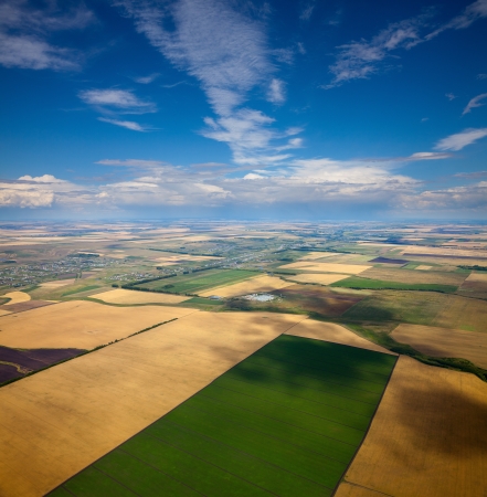 Aerial view of the countryside with fields of crops and pine forests in summer.の写真素材