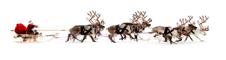 Santa Claus rides in a reindeer sleigh. He hastens to give gifts before Christmas. Santa Claus rides in a reindeer sleigh. He hastens to give gifts before Christmas.