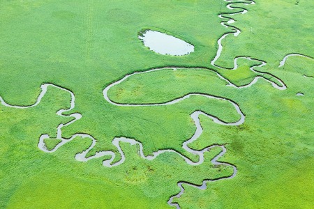 Aerial view of creek in flooded meadow in autumnの写真素材