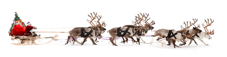 Santa Claus rides in a reindeer sleigh. He hastens to give gifts before Christmas. Santa Claus rides in a reindeer sleigh. He hastens to give gifts before Christmas.