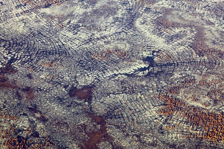 Aerial view of the tundra in autumn.の写真素材