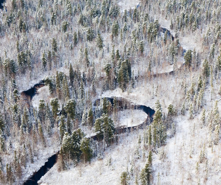 Aerial view of forest river in cold autumn day during a flight. The weather is cloudy and snowy.