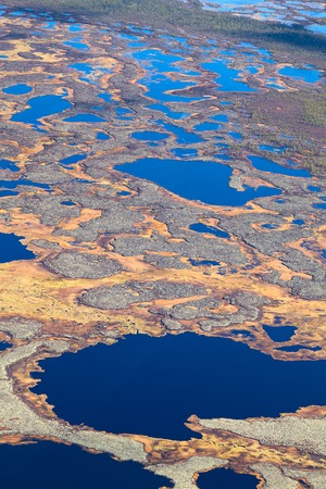 Aerial view of endless marshes in autumnの写真素材