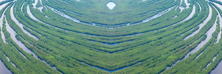Aerial view over forest river in flood period.