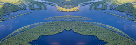 Aerial view over forest river in flood period.