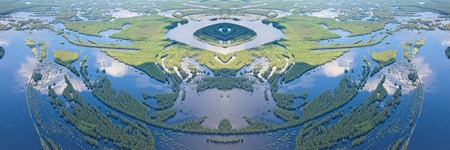 Aerial view over forest river in flood period.の写真素材