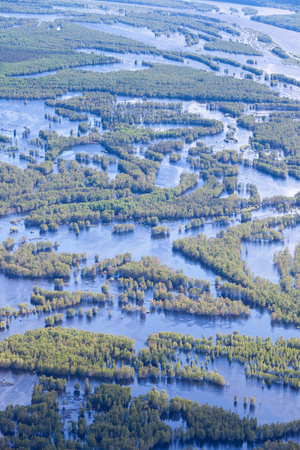 Aerial view flooded forest plains in summer.の写真素材