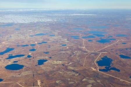 Aerial view of the tundra in autumn. Marsh with water under clear sky.の写真素材