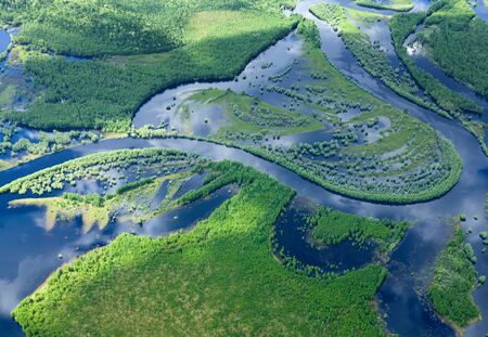 It is top view the place of flood of forest river in forest during spring day.の写真素材