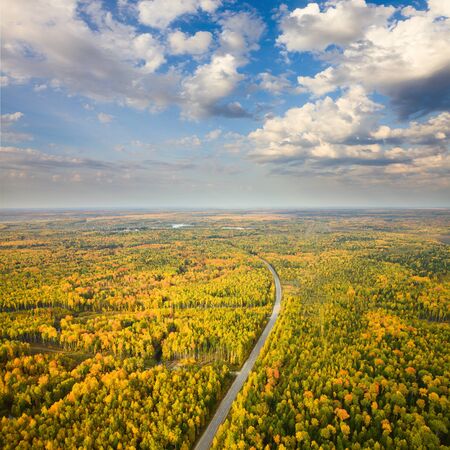 Aerial view ofroad in forest during calm autumn day.の写真素材