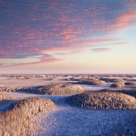 Top view of snow-covered a groves in a clear and frosty day.の写真素材