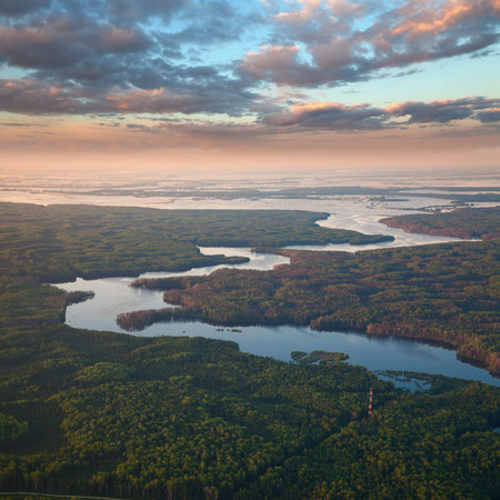 Aerial view over forest area with communications antenna tower in summer