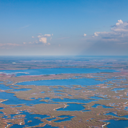 Aerial view of endless marshes in springの写真素材