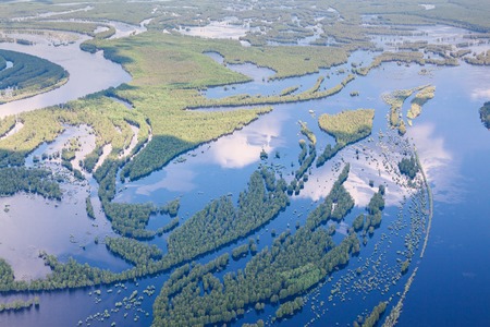 Aerial view flooded forest plains in summer.の写真素材