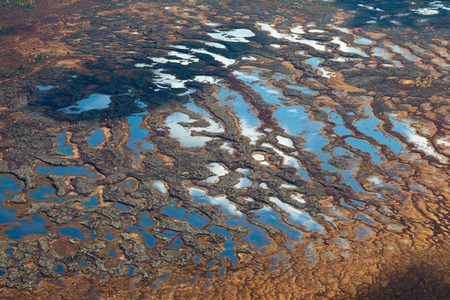 Clouds above the swamp, top viewの写真素材
