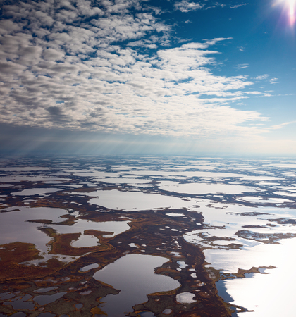 Clouds above the swamp, top viewの写真素材