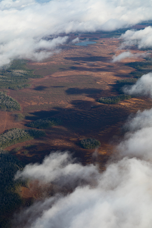 Top view above the autumn impassable swampsの写真素材