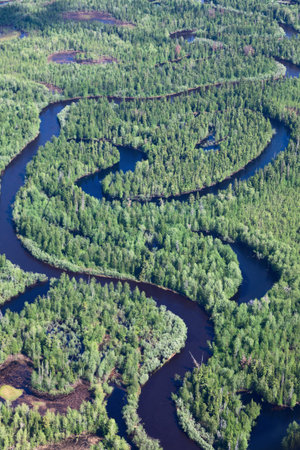 Forest plain with river