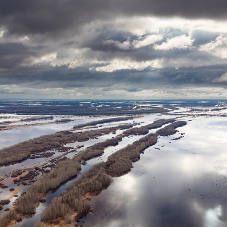 Forest river in spring, top viewの写真素材