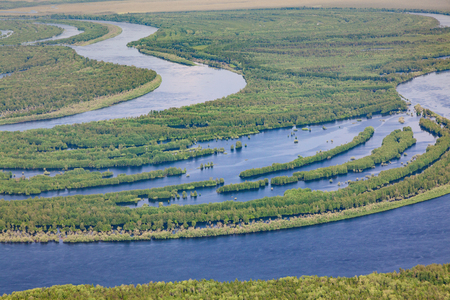 Aerial view flooded forest plains in summer.の写真素材