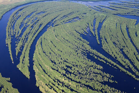 Aerial view flooded forest plains in summer.の写真素材