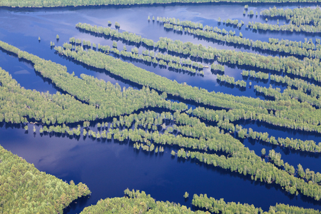 Aerial view flooded forest plains in summer.の写真素材