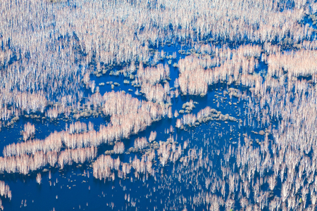 Aerial view of the Great river floodplain during spring floodingの写真素材