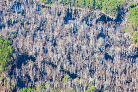 Aerial view of the Great river floodplain during spring floodingの写真素材